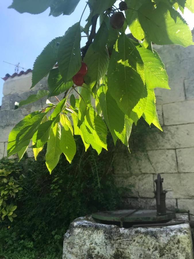 Chambres D'Hotes - Les Bujours Saint-Georges-des-Côteaux Dış mekan fotoğraf